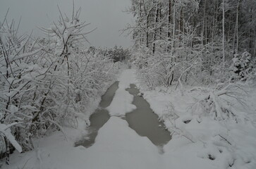 Leśne lodowisko © Tomasz
