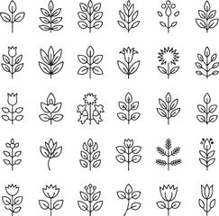 Collection of black and white botanical plant plants