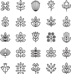 Collection of black and white line of various plants and flowers