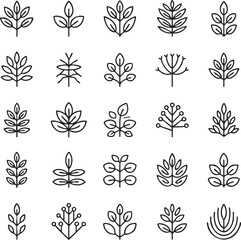 Various Leaf and Plant Line botanical nature