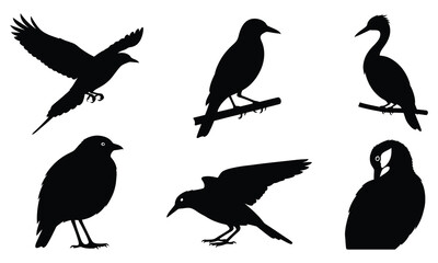 Modern Black Bird Silhouette Vector Set Graphic Resource