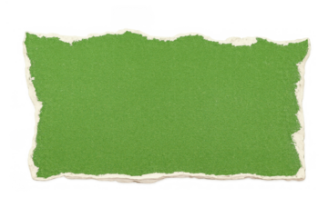 Torn green paper piece with rough, jagged edges, providing copy space on transparent background