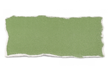 Green torn paper piece banner with rough edges, isolated blank note frame on transparent background