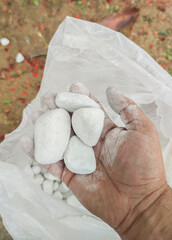 Rounded white pebbles in gardening