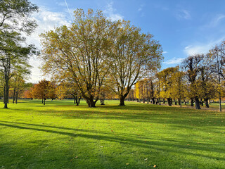 Sunny autumn day in Kings Garden, Copenhagen, Denmark