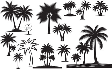 Silhouette of various palm trees isolated on transparent background