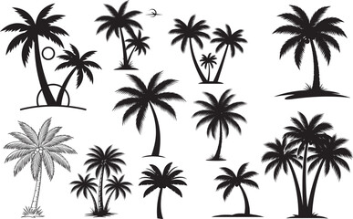 Silhouette of various palm trees isolated on transparent background