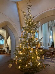 Weihnachtsb&auml;ume in der Katholischen Kirchen St. Lambertus im Zentrum der Gemeinde Aschebrg im M&uuml;nsterland