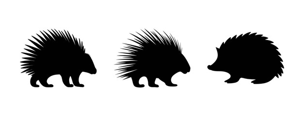 Porcupine vector silhouette illustration graphic design animal wildlife nature mammal rodent quills spines art