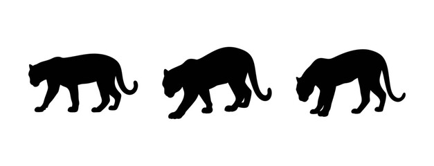 Three black panther silhouette vector illustration walking in the dark jungle animal design