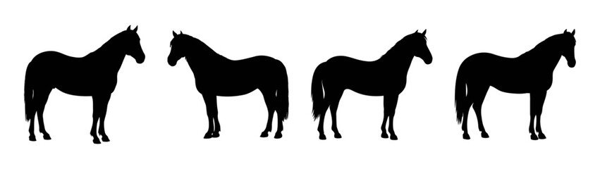 Horse silhouette art drawing black and white equestrian equine animal illustration design graphic art