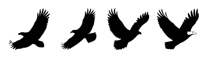 Eagle flying silhouette vector illustration, majestic bird of prey, wildlife animal design element
