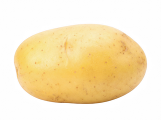 Fresh, raw potato tuber with light yellow skin isolated for culinary use