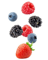 Assortment of fresh red, blue, and purple berries including strawberries, raspberries, blueberries, and blackberries suspended in mid-air. © md