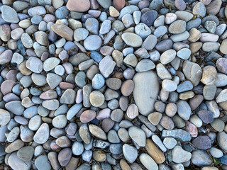 A collection of smooth rounded stones in shades of gray brown and tan fills the ground creating a natural texture with varied patterns under bright sunlight outdoors