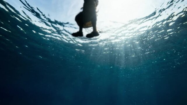 Silhouette of Jesus above the water surface