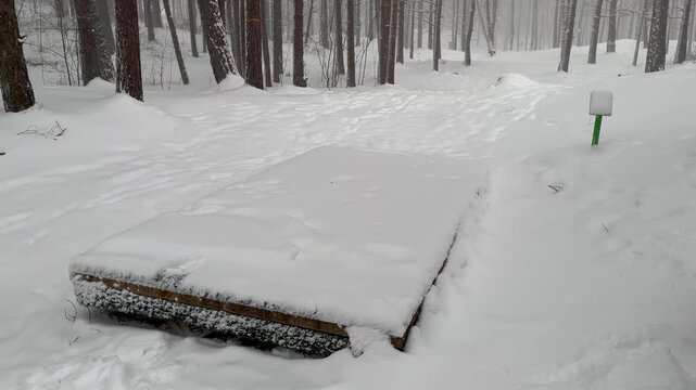 Snow-covered disc golf tee pad and course information sign in quiet winter forest, frozen ground, bare trees and soft snowfall creating calm seasonal stillness