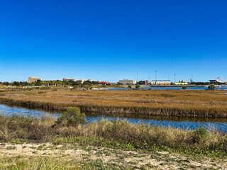 Coastal Marsh and Urban Backdrop at Bruce Beach Park