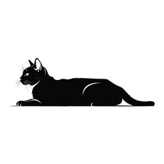 Black cat lying down on white background © Mohsin