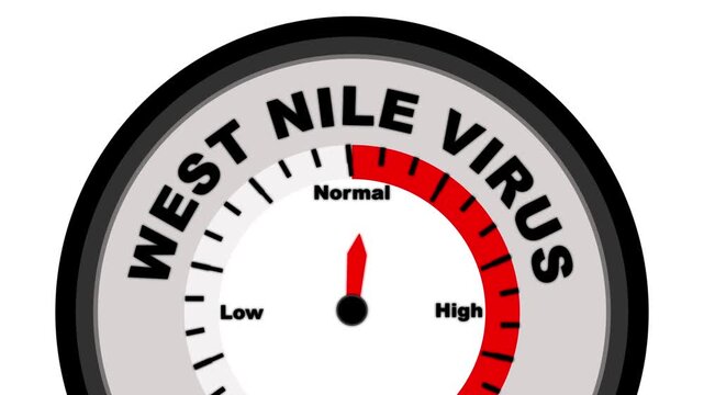 West Nile Virus text with a barometer or tachometer-style gauge, illustrating varying levels of severity and risk of infection, from mild symptoms to severe cases like encephalitis