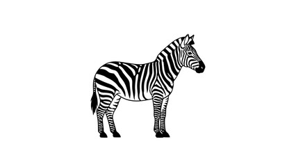 A detailed illustration of a standing zebra with bold black and white stripes.