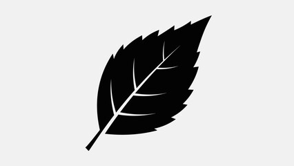 Black leaf silhouette with detailed veins on a white background.