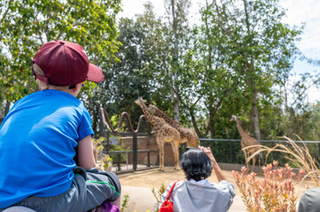 Child enjoys watching giraffes at the zoo on a sunny afternoon with family and friends nearby capturing the moment