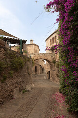 Fototapeta premium Ancient medieval street with stone arch and bougainvillea in pals, spain