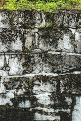 Fototapeta premium Old stone wall covered with moss and greenery in an outdoor setting during daylight hours