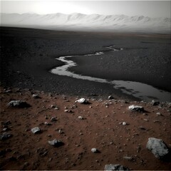 beach in the morning