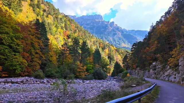Driving through the Selva de Oza forest in Valley of Hecho, green broad-leaf and coniferous mixed forest. Occidental Valleys Natural Park, Aragonese Pyrenees, Huesca Province, Spain