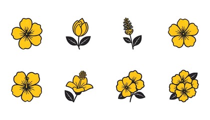 A collection of vibrant yellow flowers on a white background