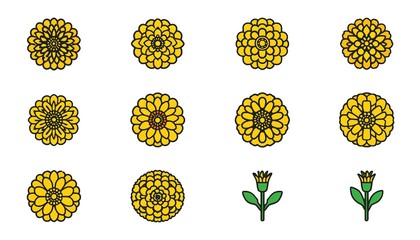 A vibrant illustration of yellow flowers in various stages of bloom on a white background
