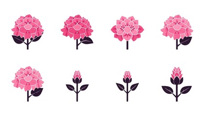 A collection of pink flowers and buds on a white background