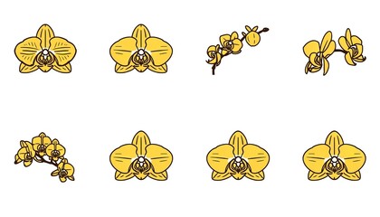 A vibrant illustration of yellow orchids in various stages of bloom on a clean white background