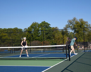 Couples Play in Pickle Ball