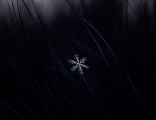 beautiful transparent glittery carved cold snowflake lies on blue fur in winter garden