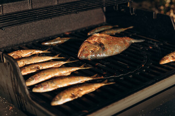 Grilled fish on barbecue grill, showcasing various types of seafood, with a focus on texture and color, highlighting culinary preparation and outdoor cooking experience