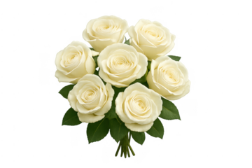White roses bouquet symbolizing love, purity, and wedding