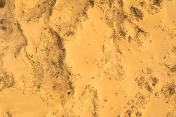 Aerial top down view of yellow desert sand dunes with green trees
