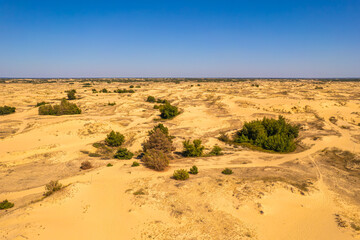 Golden desert with scattered green vegetation