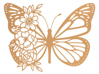 vector illustration of a butterfly
