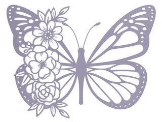 butterfly on white background