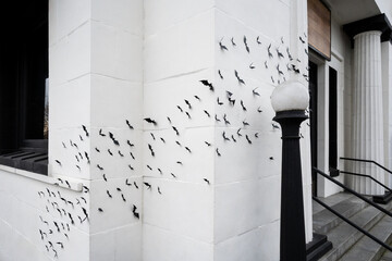 Scary and creepy Halloween background, exterior of white building decorated with a cauldron of plastic bats flying across the scene
