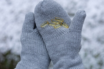 Closeup of a person wearing gloves and holding vitamin D capsules. Concept of supplementing vitamin D in winter.