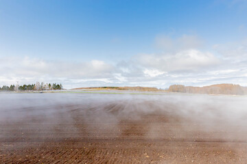 水蒸気の上がる畑
