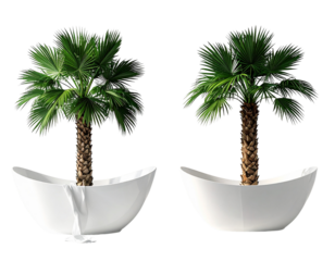 Palm Tree on a Tub Bundle with Tropical Interior Concept isolated on transparent background