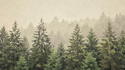 Misty forest landscape with dense canopy of evergreen coniferous trees against a warm beige background.
