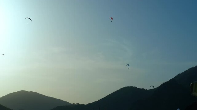 Paragliders flying sunset. Colorful paragliders gently float in the clear sky, descending towards the rolling green hills as the sun begins to set, casting a warm glow over the landscape