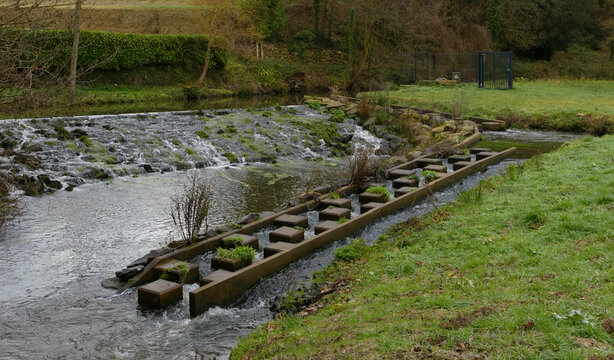 Passe &agrave; poisson pour les saumons et anguilles